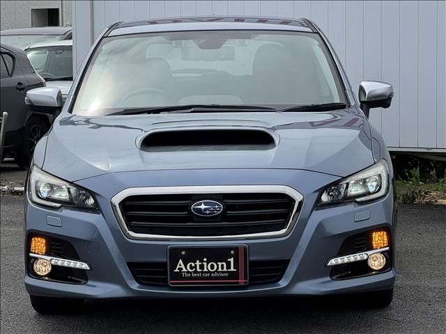LEVORG
