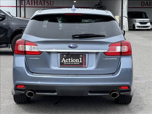 LEVORG