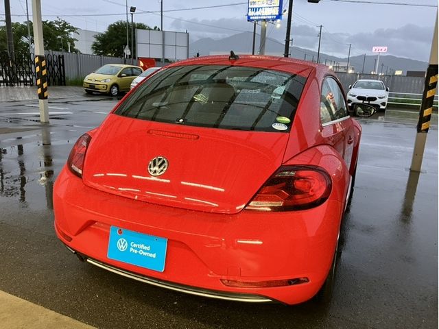 VOLKSWAGEN The BEETLE
