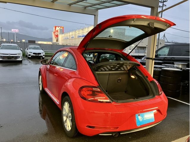 VOLKSWAGEN The BEETLE