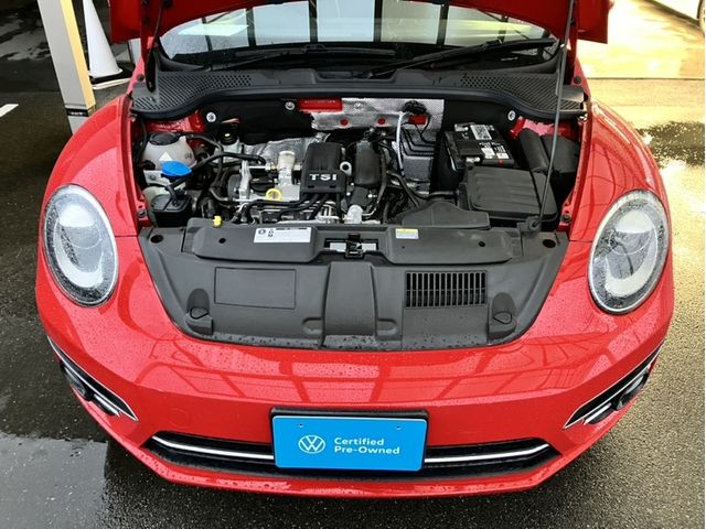 VOLKSWAGEN The BEETLE