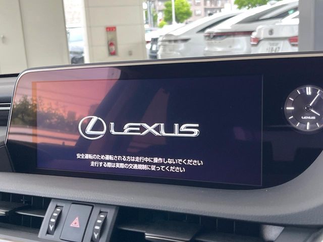 LEXUS ES300h