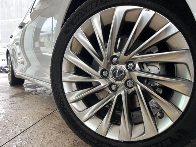 LEXUS ES300h