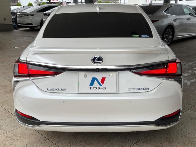 LEXUS ES300h