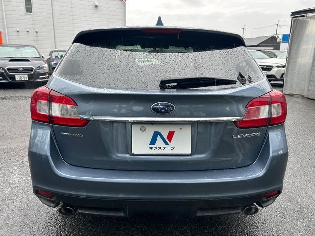LEVORG