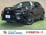 LEXUS RX500h