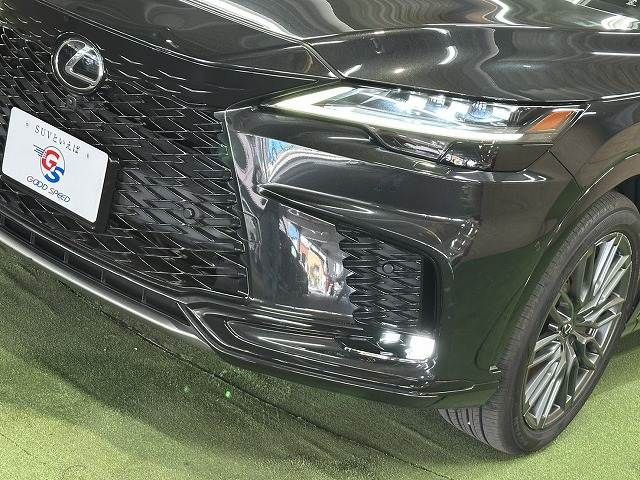 LEXUS RX500h