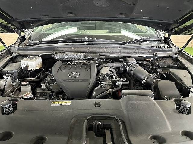 LEXUS RX500h