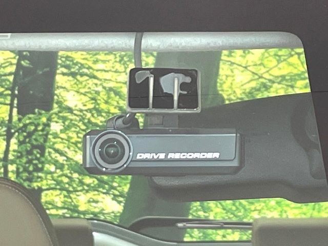 DAYZ ROOX