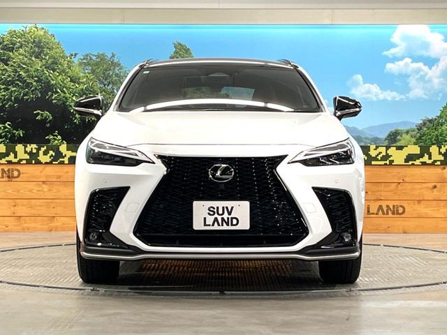 LEXUS NX350h