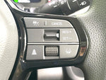 STEPWAGON e:HEV
