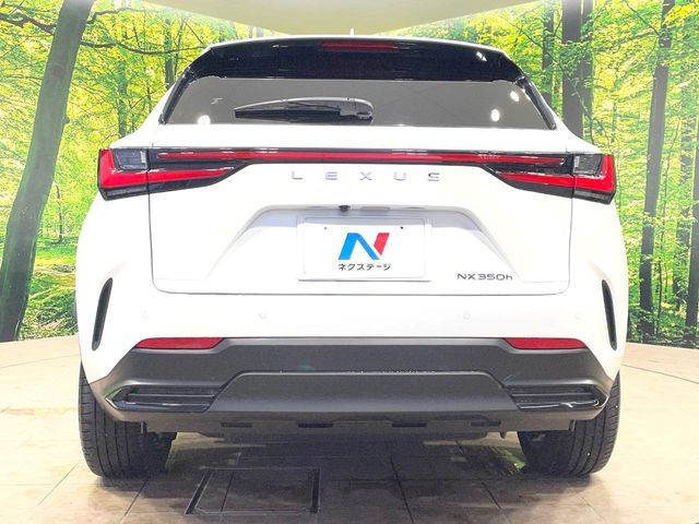 LEXUS NX350h