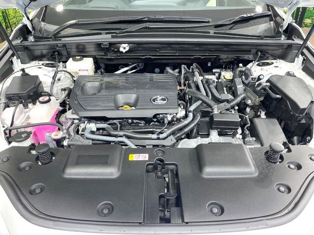 LEXUS NX350h