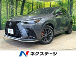 LEXUS NX450h+ AWD