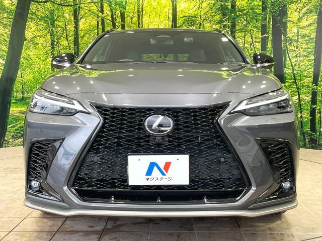 LEXUS NX450h+ AWD