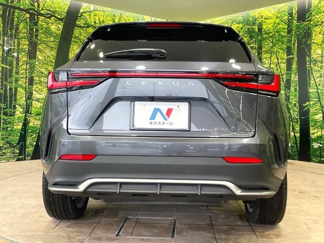 LEXUS NX450h+ AWD