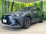 LEXUS NX450h+ AWD