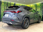 LEXUS NX450h+ AWD