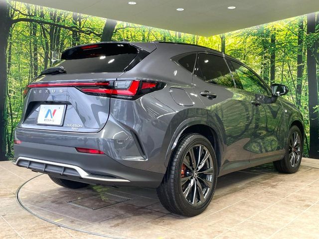 LEXUS NX450h+ AWD