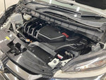SERENA  S-HYBRID