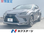 LEXUS NX300