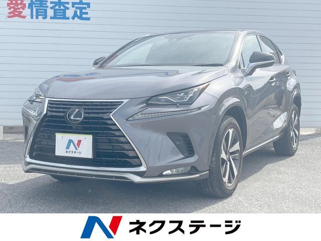 LEXUS NX300