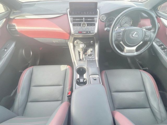 LEXUS NX300