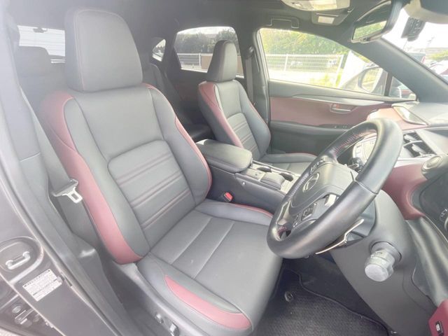 LEXUS NX300