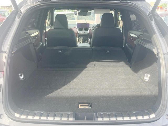 LEXUS NX300