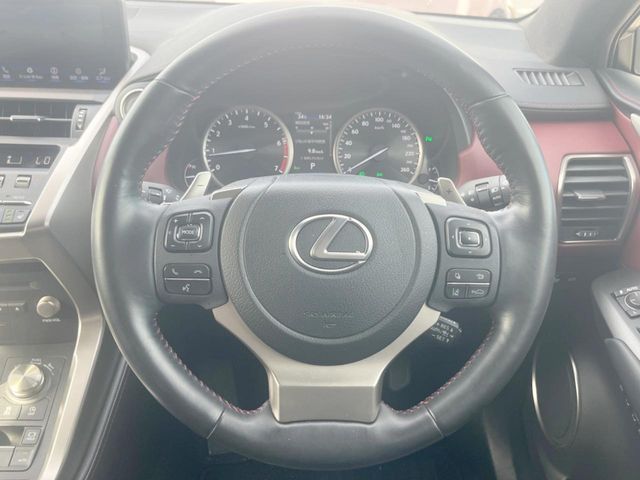 LEXUS NX300