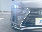 LEXUS NX300