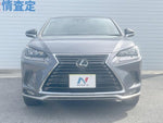 LEXUS NX300