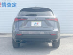 LEXUS NX300