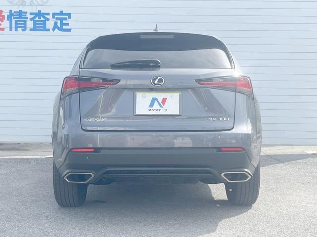 LEXUS NX300