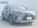 LEXUS NX300