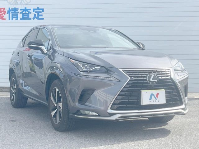 LEXUS NX300