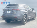 LEXUS NX300