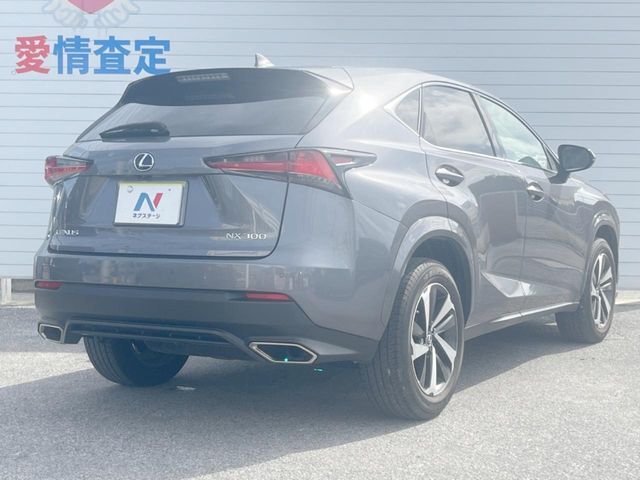 LEXUS NX300