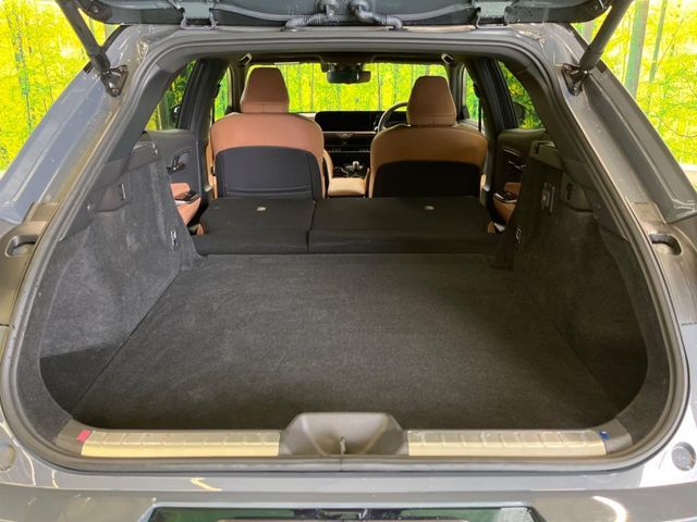 CROWN SPORT