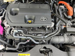 CROWN SPORT