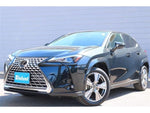 LEXUS UX250h