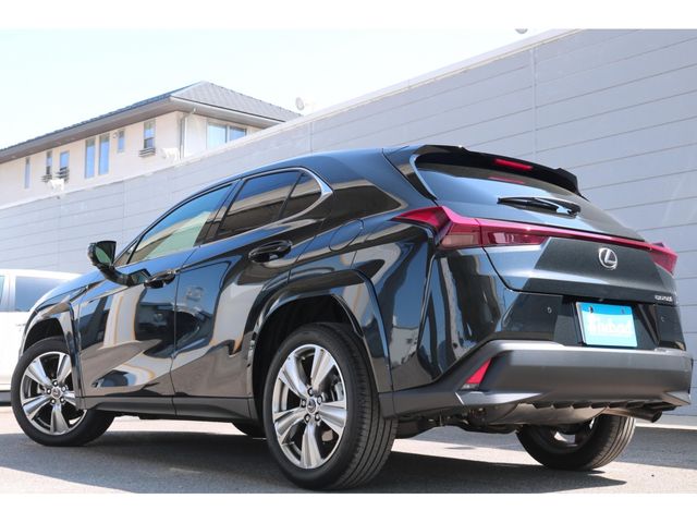 LEXUS UX250h