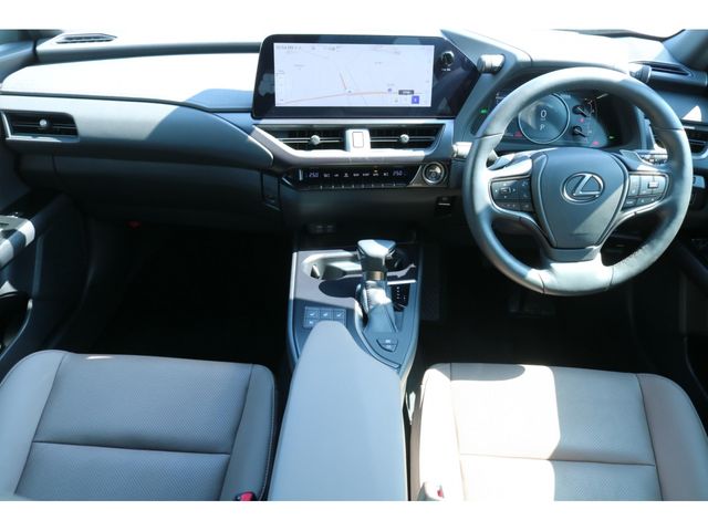 LEXUS UX250h