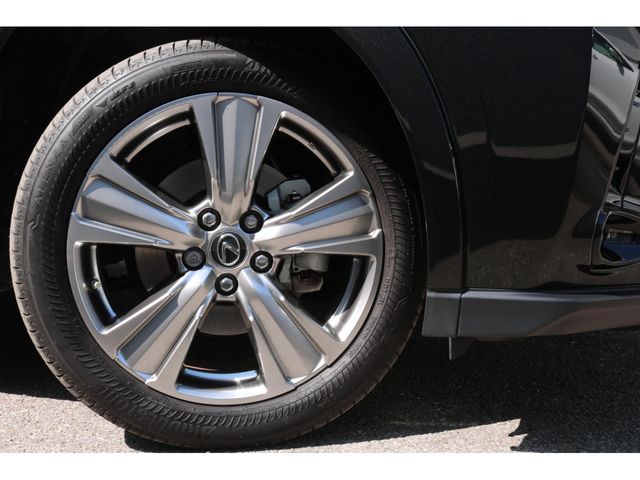 LEXUS UX250h