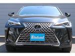 LEXUS UX250h