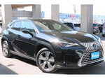 LEXUS UX250h