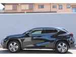 LEXUS UX250h