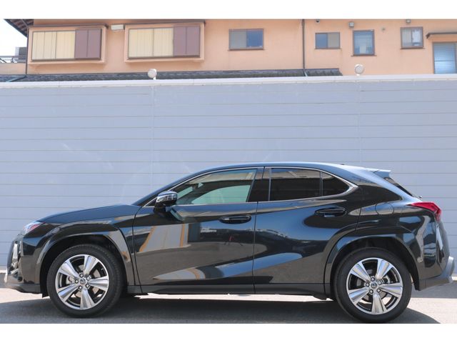 LEXUS UX250h