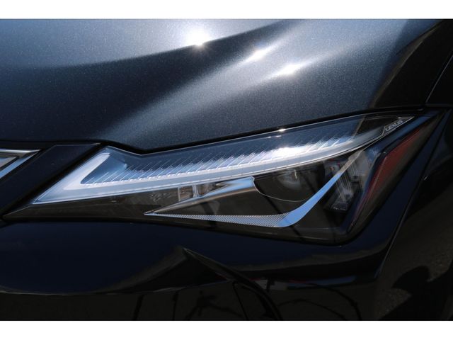LEXUS UX250h