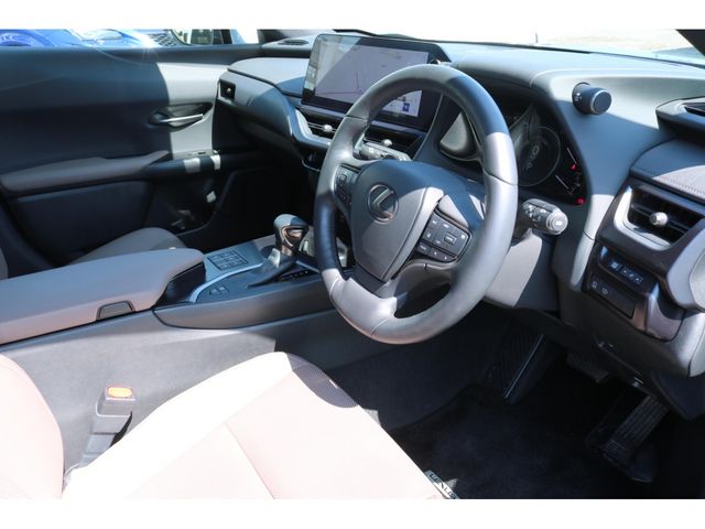 LEXUS UX250h